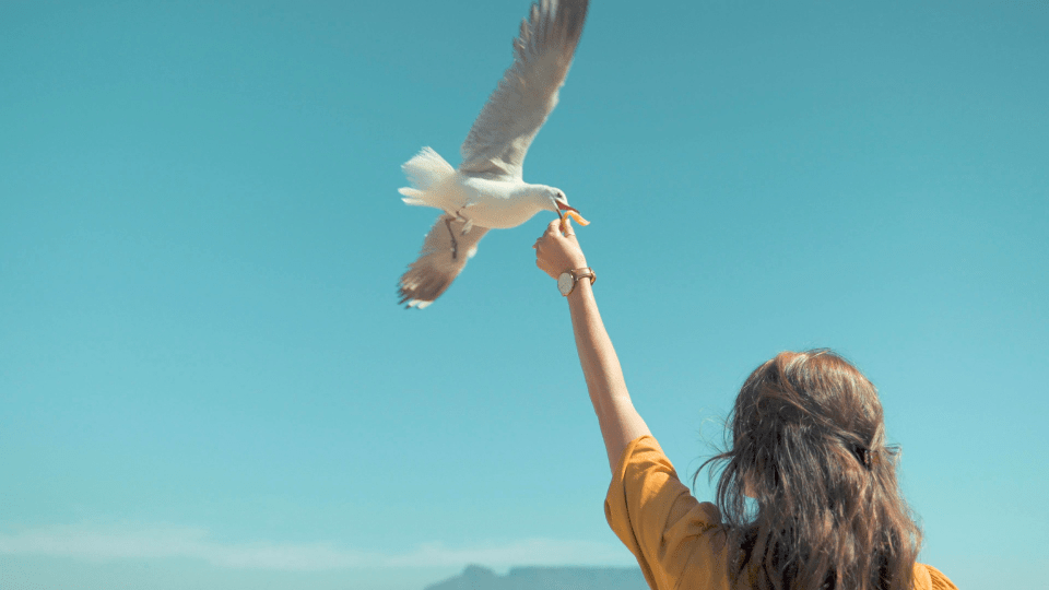 Prólogo: Antes de traquear los&nbsp;dedos