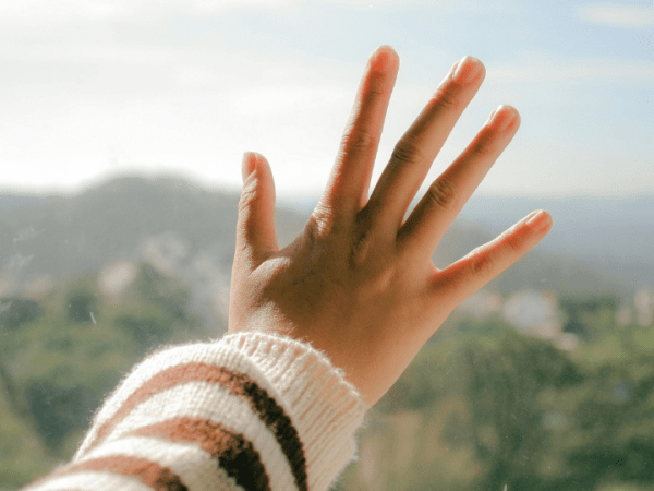 Historia de un amor&nbsp;débil