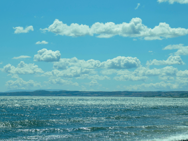 La naranja y la&nbsp;marinera