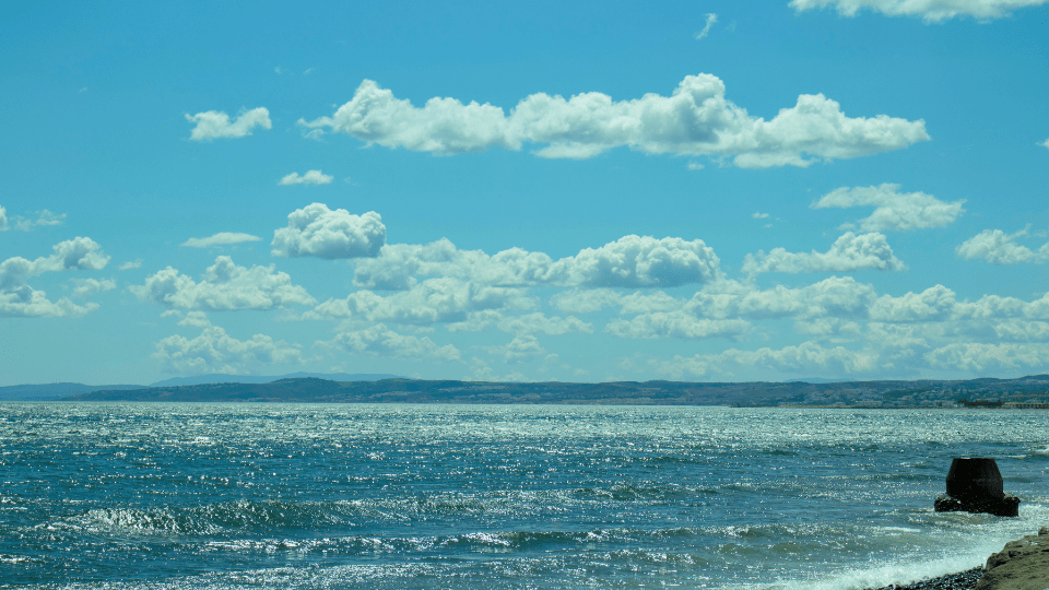 poema sobre amor enfermedad intimidad naranja