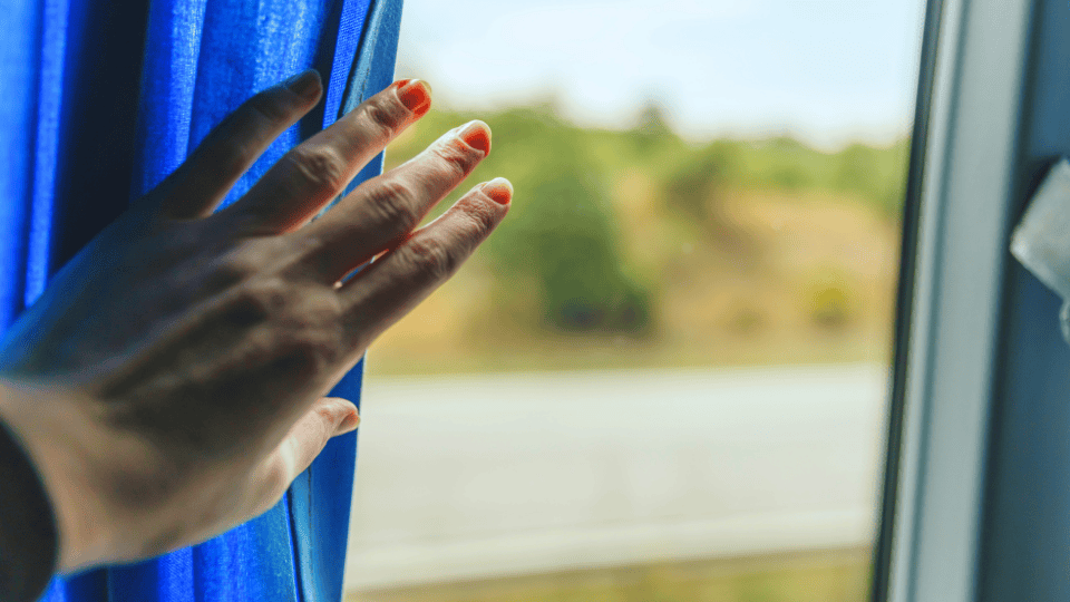 El día que&nbsp;fue