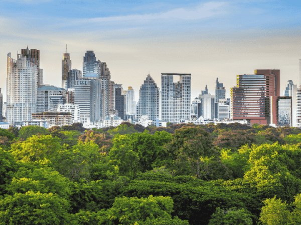 Mis ciudades como oasis&nbsp;posibles