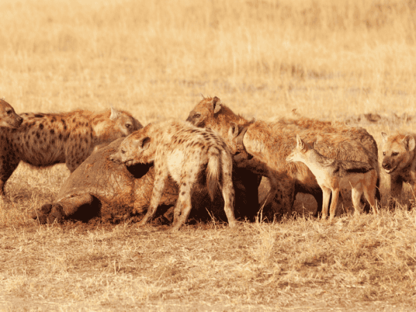 Las vértebras de la&nbsp;esperanza