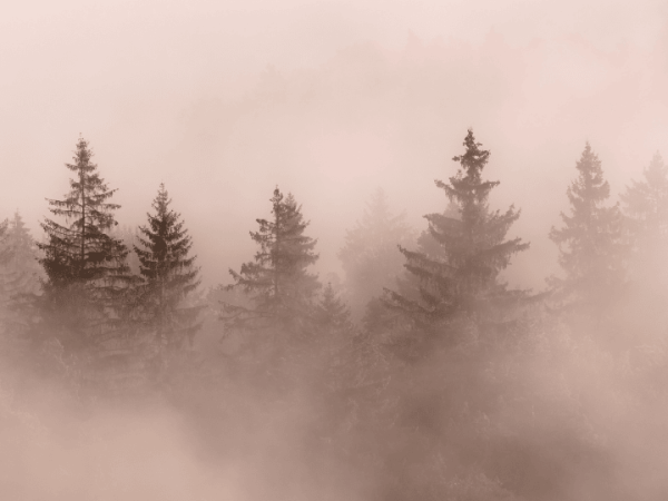 A mitad de un&nbsp;beso