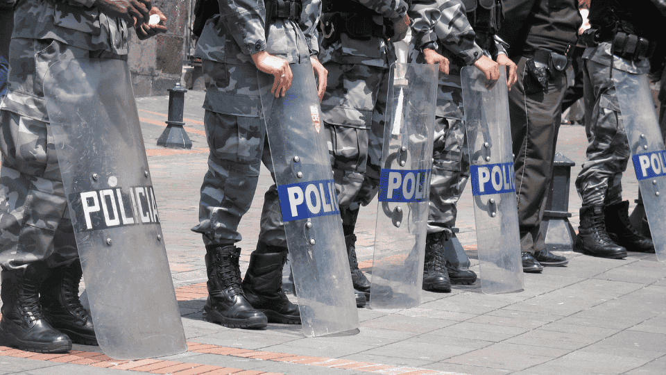 De persistencias y&nbsp;furias