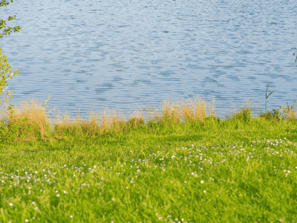 De aquel lago, este&nbsp;río