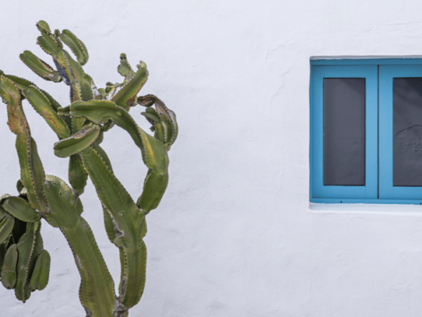 Hierro voy a&nbsp;ser