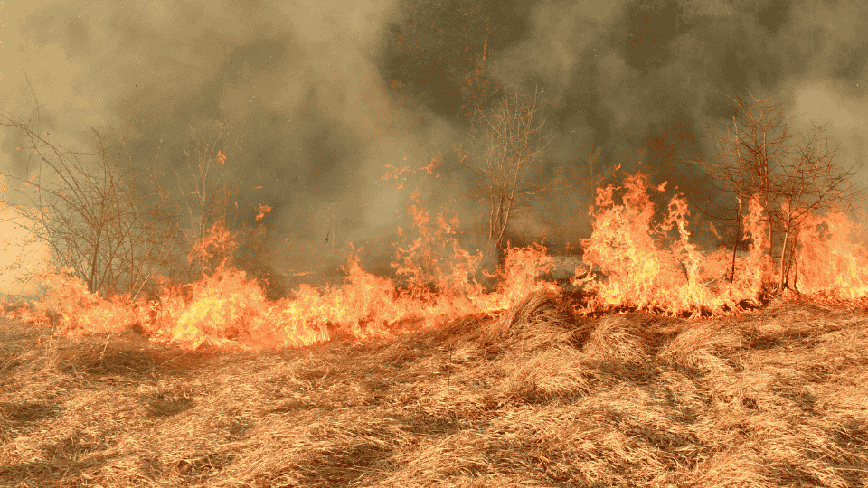 Lo que es del&nbsp;fuego