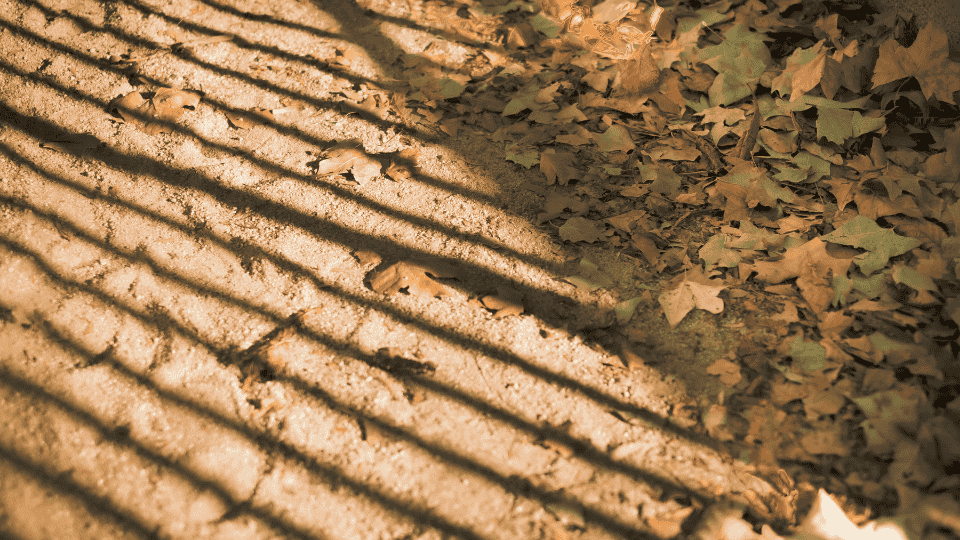 La luz ahora&nbsp;diluvia