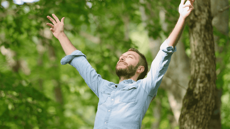 poema sobre viaje bosque búsqueda