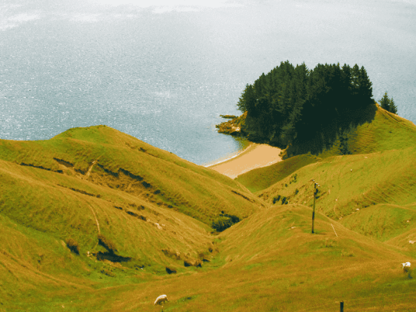 La nostalgia del&nbsp;mar