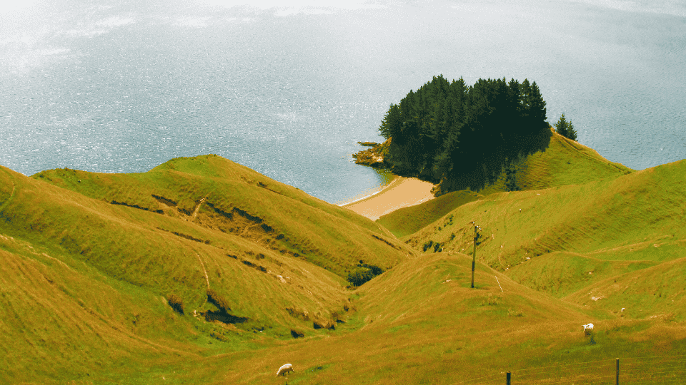 La nostalgia del&nbsp;mar