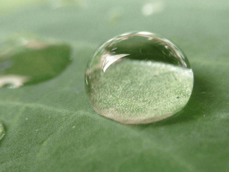 Una lágrima y&nbsp;media