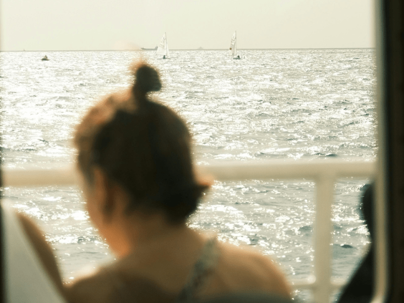 Patria o muerte:&nbsp;exilio