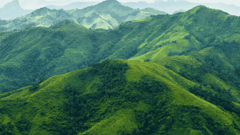 poema sobre montaña depresion soledad