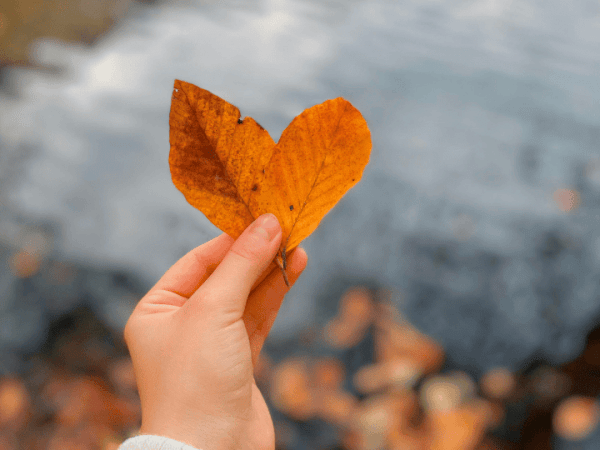 ¿Cuándo es diciembre?
