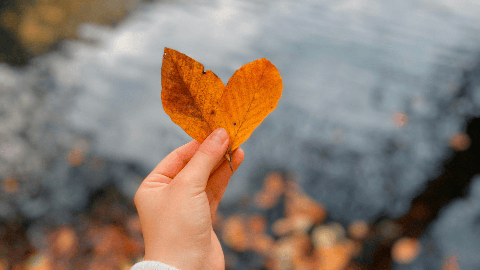 ¿Cuándo es diciembre?