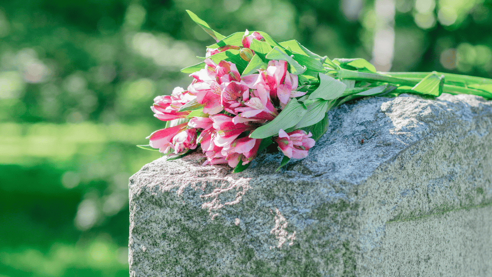 poema sobre flores culpa identidad soledad juicio