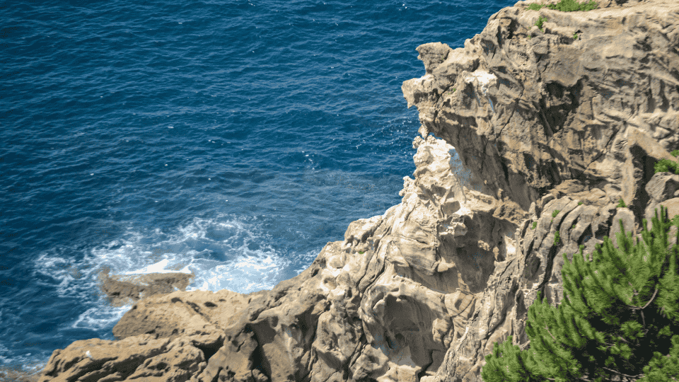 poema sobre miedo muerte abismo resistencia