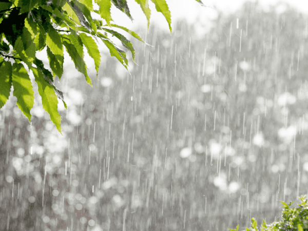 Versos en los&nbsp;ojos