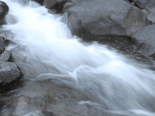 El movimiento de tus&nbsp;ríos